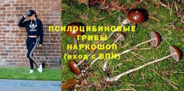 марки nbome Арсеньев