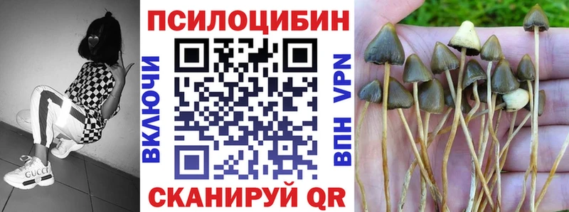 Галлюциногенные грибы прущие грибы  где купить   Новая Ляля 